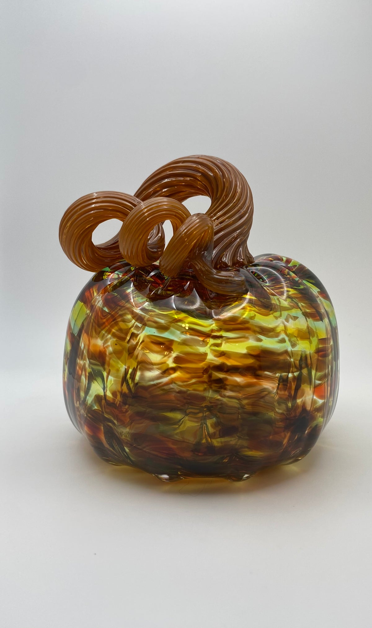 Medium Fall Mix Pumpkin 001