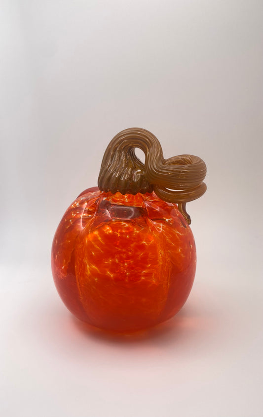 Medium Orange Pumpkin 07