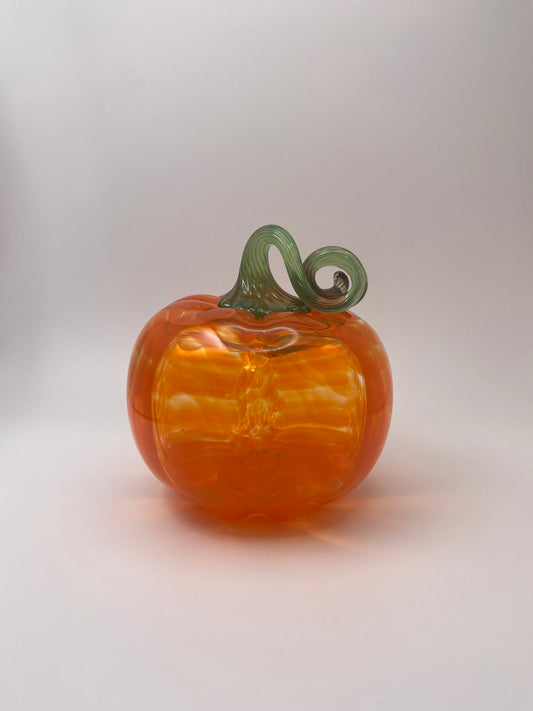 Small Orange Pumpkin 09