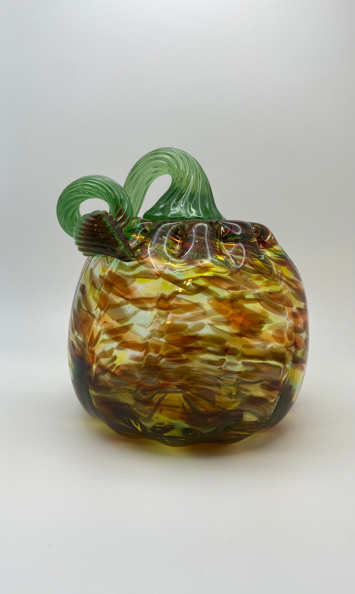 Medium Fall Mix Pumpkin 002