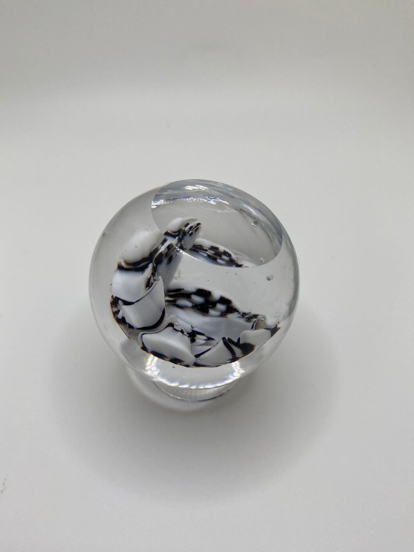Single Lens Checkered Murrine Marble